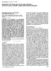 cytochrome c,/yeast/mitochondria/nucleotide - Europe PMC