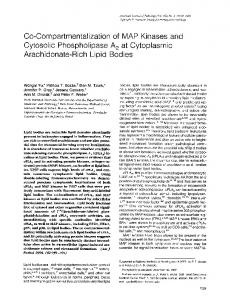 Cytosolic Phospholipase A2 at Cytoplasmic - Europe PMC