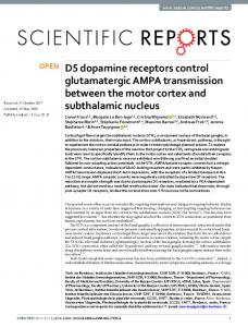 D5 dopamine receptors control glutamatergic AMPA ...