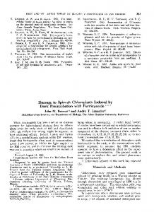 Damage to Spinach Chloroplasts Induced by - NCBI