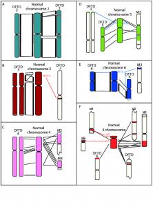 Deakin_Bender Figure S5 - PLOS