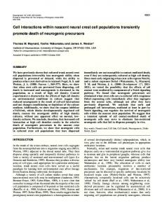 Death of crest-derived neurogenic precursors - CiteSeerX