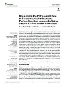 Deciphering the Pathological Role of