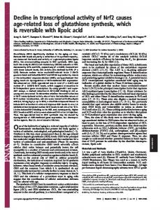 Decline in transcriptional activity of Nrf2 causes ... - Semantic Scholar