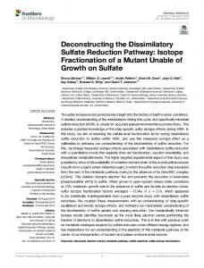 Deconstructing the Dissimilatory Sulfate Reduction Pathway: Isotope