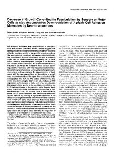 Decrease in Growth Cone-Neurite Fasciculation by ... - Semantic Scholar