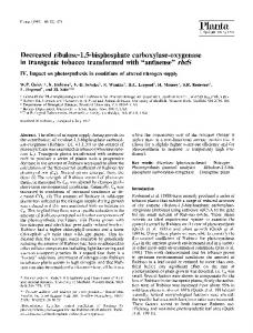 Decreased ribulose-1, 5-bisphosphate carboxylase-oxygenase in ...