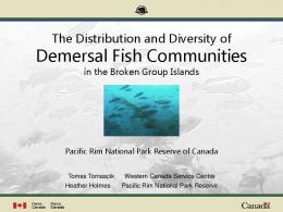 Demersal Fish Communities