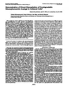 Demonstration of Direct Glycosylation of Nondegradable ...