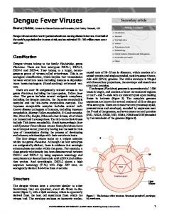 Dengue Fever Viruses