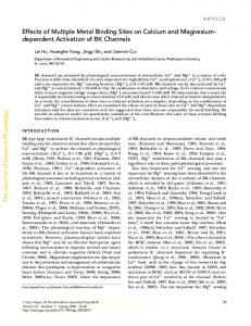 dependent Activation of BK Channels