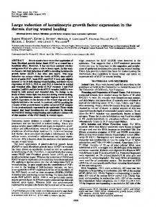 dermis during wound healing