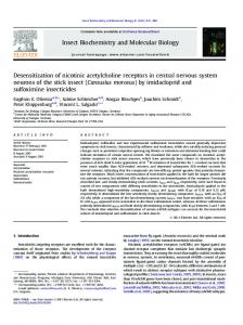 Desensitization of nicotinic acetylcholine receptors in ...