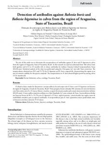 Detection of antibodies against Babesia bovis and Babesia bigemina ...