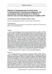 Detection of Carbapenemase Encoding Genes in Enterobacteriace ...