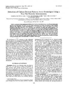 Detection of Culture-Derived Babesia bovis Exoantigen Using a