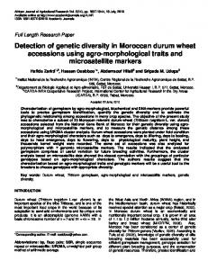 Detection of genetic diversity in Moroccan durum