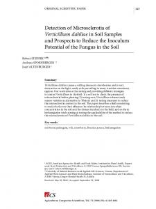 Detection of Microsclerotia of Verticillium dahliae in Soil Samples and ...