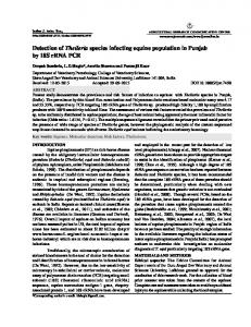 Detection of Theileria species infecting equine ...