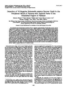 Detection of Vi-Negative Salmonella enterica Serovar Typhi in the ...