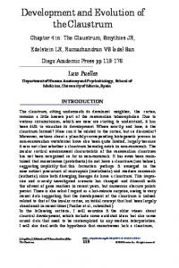 Development and Evolution of the Claustrum