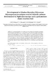 Development of Kudoa thyrsites (Myxozoa ... - Inter Research