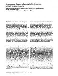 Developmental Changes in Heparan Sulfate ... - BioMedSearch