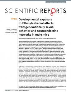 Developmental exposure to Ethinylestradiol affects ... - Nature