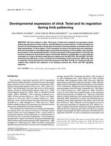 Developmental expression of chick Twist and its regulation during limb ...