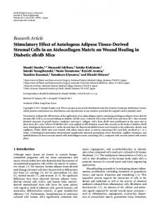 Diabetic db/db Mice