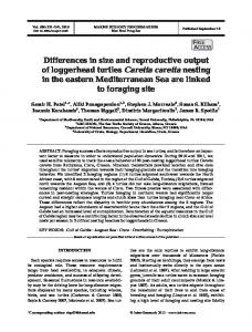 Differences in size and reproductive output of loggerhead turtles ...