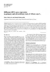 Different rRNA gene expression