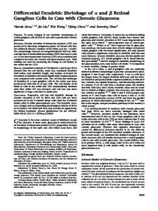 Differential Dendritic Shrinkage of and Retinal ... - Semantic Scholar