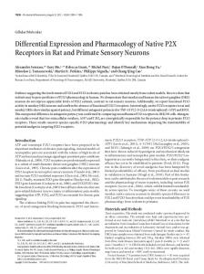 Differential Expression and Pharmacology of ... - Semantic Scholar