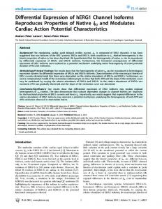 Differential Expression of hERG1 Channel Isoforms ... - PLOS