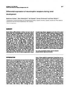 Differential expression of neurotrophin receptors ... - Development