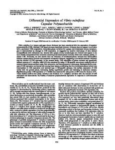 Differential Expression of Vibrio vulnificus Capsular Polysaccharide