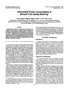 Differential Protein Accumulation in Banana Fruit during ... - NCBI