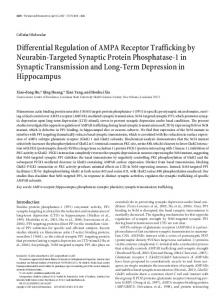 Differential Regulation of AMPA Receptor Trafficking by Neurabin ...