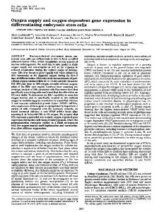 differentiating embryonic stem cells