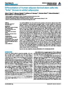 Differentiation of human adipose-derived stem cells into ... - Frontiers