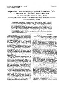 Diphtheria Toxin-Binding Glycoproteins on Hamster Cells: