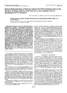 Direct Demonstration of Insulin-induced GLUT4 Translocation to the ...