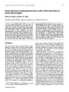 Direct detection of transcapsidated barley yellow dwarf ... - CiteSeerX