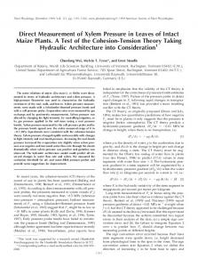 Direct Measurement of Xylem Pressure in Leaves of ... - Plant Physiology