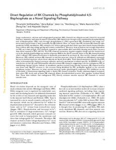 Direct Regulation of BK Channels by Phosphatidylinositol 4,5 ...