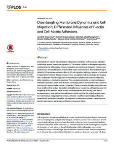 Disentangling Membrane Dynamics and Cell ... - Semantic Scholar