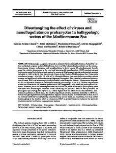 Disentangling the effect of viruses and nanoflagellates on prokaryotes ...