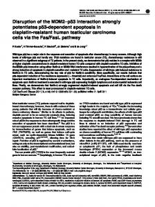 Disruption of the MDM2–p53 interaction strongly ... - Nature