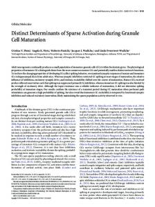 Distinct Determinants of Sparse Activation during